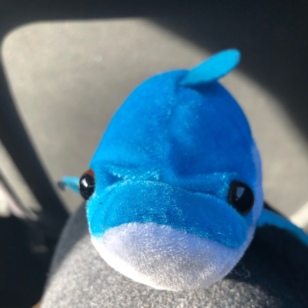 Shark!